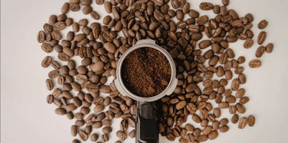 Insomnia Roast